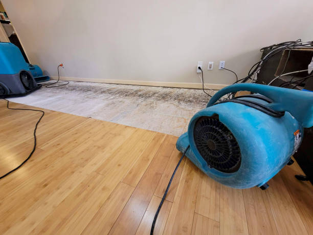 Professional Structural Drying technician working in Rindge, NH
